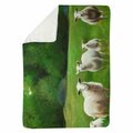 Begin Home Decor 60 x 80 in. Fields of Sheep-Sherpa Fleece Blanket 5545-6080-AN314